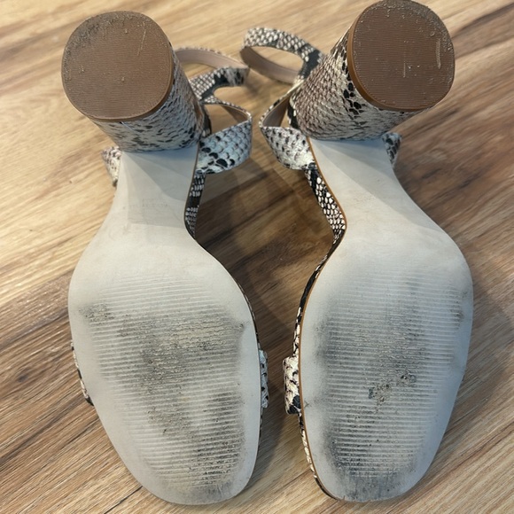 Steve Madden Snakeskin Heels - Picture 3 of 5